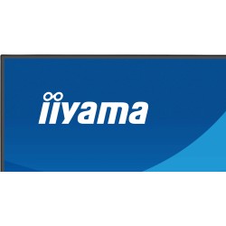 iiyama ProLite X2491HS-B1 – Écran 24" Full HD IPS 120Hz, haut-parleurs