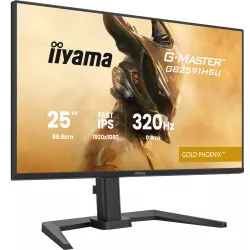 iiyama G-Master GB2591HSU-B1 24,5" FHD 320Hz Fast IPS 0,4ms - Moniteur gaming