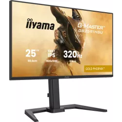 iiyama G-Master GB2591HSU-B1 24,5" FHD 320Hz Fast IPS 0,4ms - Moniteur gaming