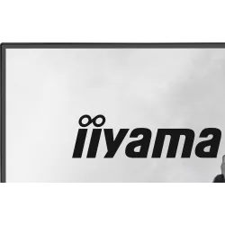 Ecran IIYAMA 23.8'' 1ms G-Master Black Hawk Noir IPS 1920x1080 16:9 144Hz 350cd/