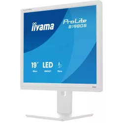 Écran iiyama B1980S-W1 19 pouces 1280x1024