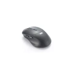 Souris sans-fil WE WESOURSFILRCH BT5.3 2.4GHz