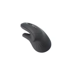 Souris WE WESOURERGOBT 5 boutons BT/2,4GHz