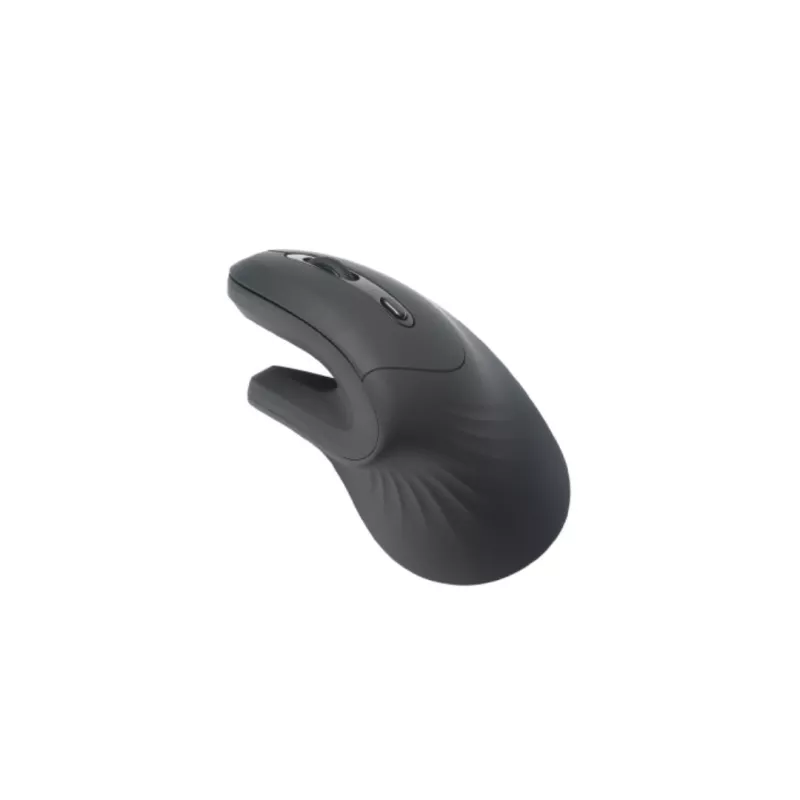 Souris WE WESOURERGOBT 5 boutons BT/2,4GHz